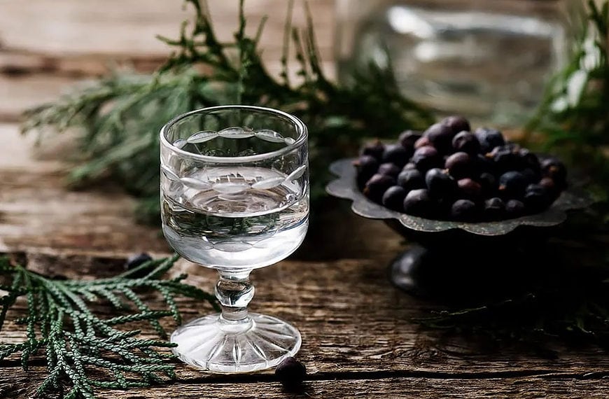 Gin izjemno priljubljena pijača