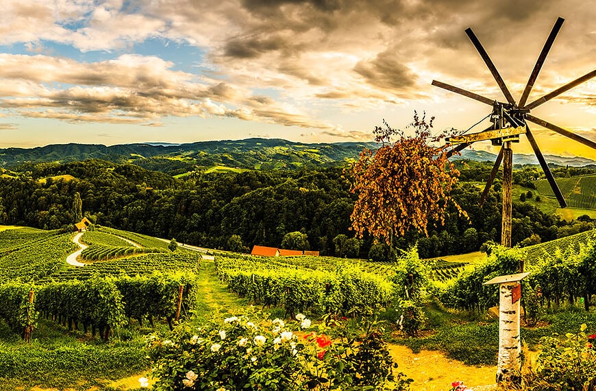 Vinorodne dežele Slovenije - Špičnik