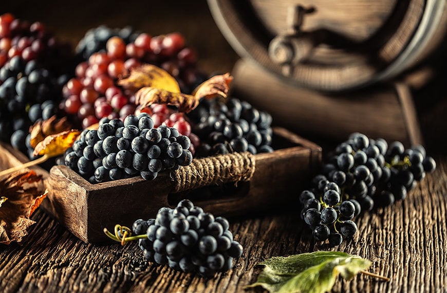 Vinske sorte v Sloveniji