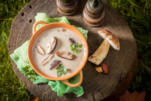 Ali lahko pogrejemo gobovo juho