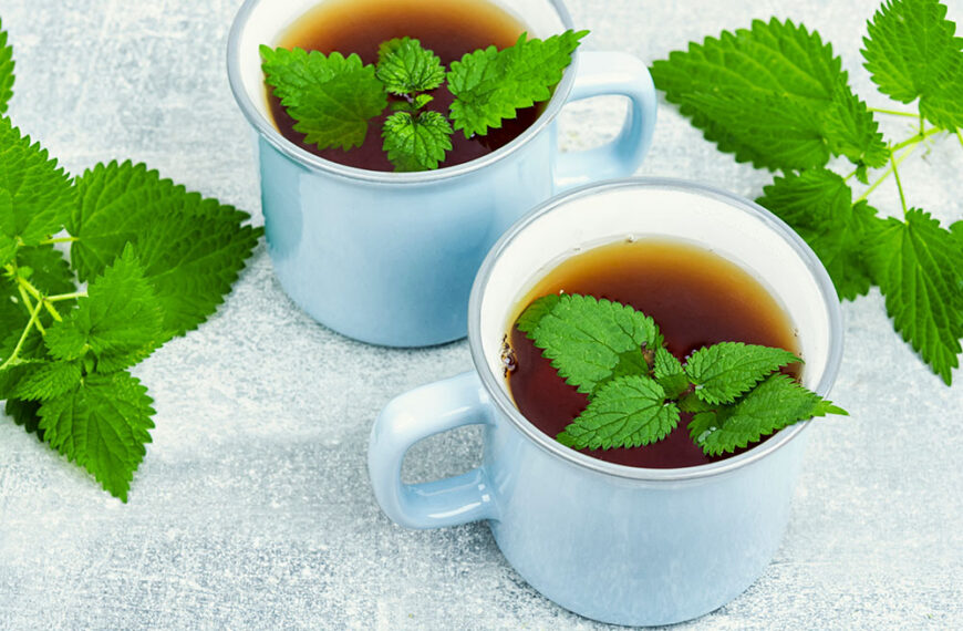 Kako pripraviti čaj iz kopriv