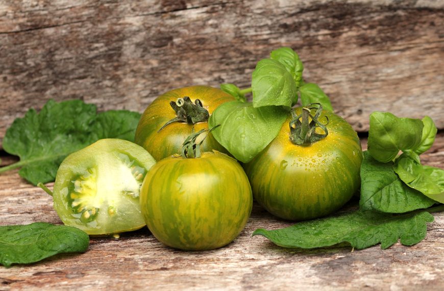 Zelen paradižnik - Nasveti kako porabiti zelen paradižnik